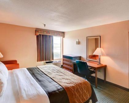 Quality Inn - image 11