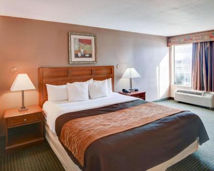 Quality Inn - image 15