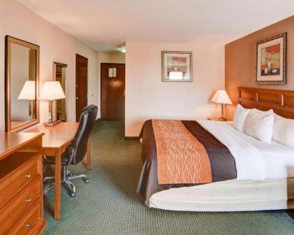 Quality Inn - image 8