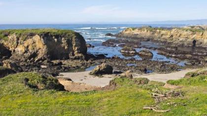 Seabird Lodge Fort Bragg - image 5