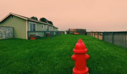 Beachcomber Motel - image 4