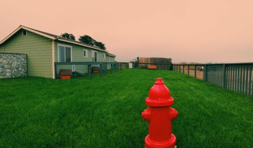 Beachcomber Motel - image 4