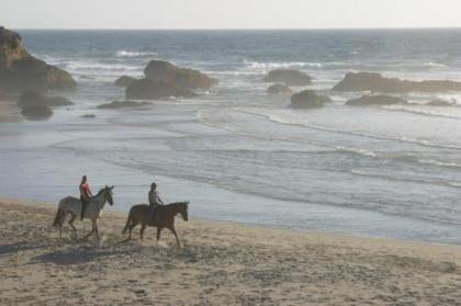 Surf and Sand Lodge - image 3