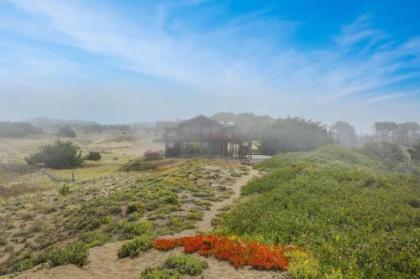 Sandborn - image 5