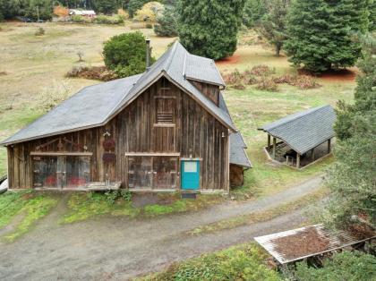 Meadow Redwoods - image 10