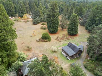 Meadow Redwoods - image 12