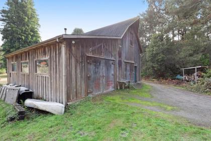 Meadow Redwoods - image 13