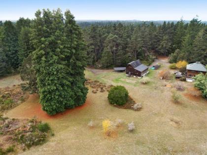 Meadow Redwoods - image 8