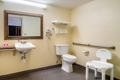 Econo Lodge Inn & Suites - image 15