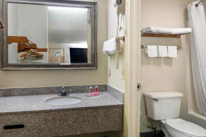 Econo Lodge Inn & Suites - image 6
