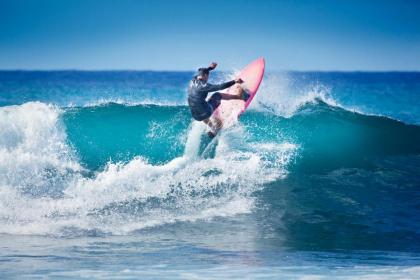 Seahorse Beach Bungalows - image 12