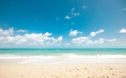 Seahorse Beach Bungalows - image 2