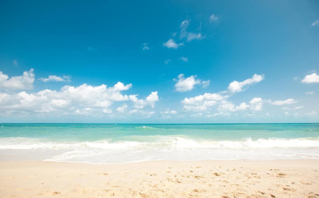 Seahorse Beach Bungalows - image 2