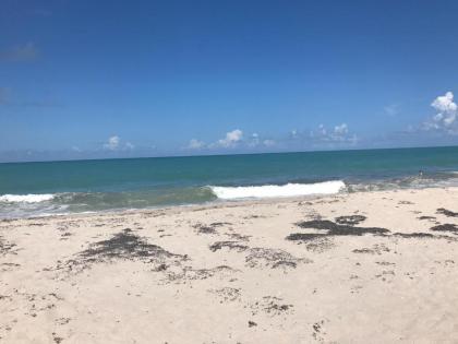 Seahorse Beach Bungalows - image 3