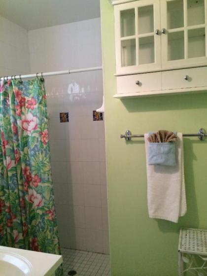 Coconut Palm Beach Bungalow 2 bedroom King bed - image 7