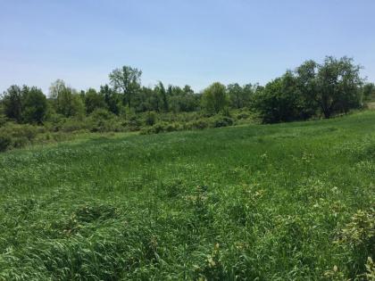 Tentrr - Sand Hill Farm - image 6