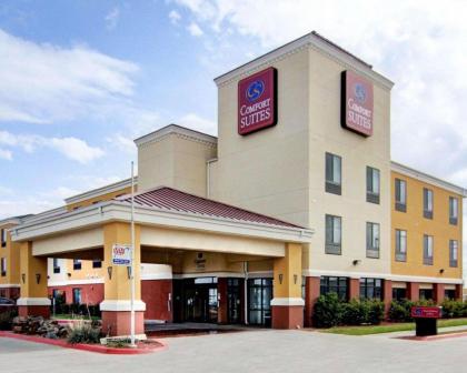 Comfort Suites Fort Stockton - image 8