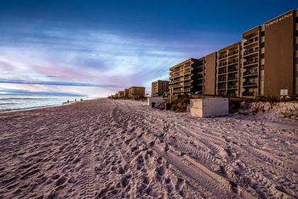 Island Echos 4K - image 12