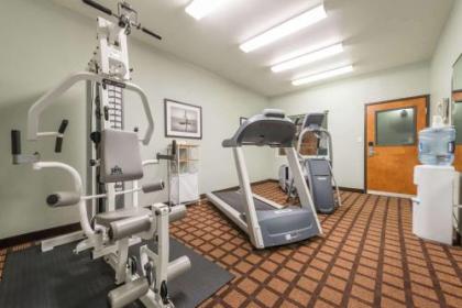 Microtel Inn & Suites by Wyndham Ft. Worth North/At Fossil - image 3