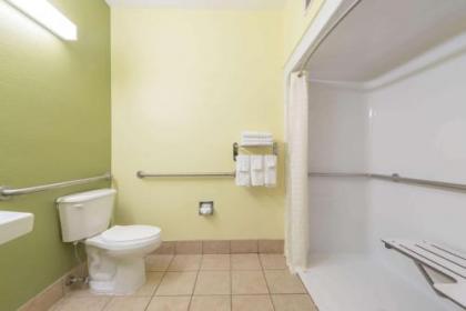 Microtel Inn & Suites by Wyndham Ft. Worth North/At Fossil - image 5