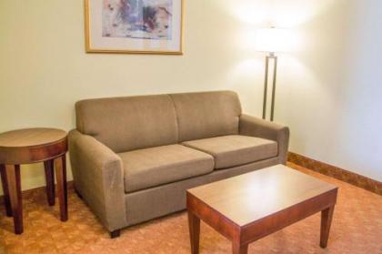 Comfort Suites North Fossil Creek - image 2