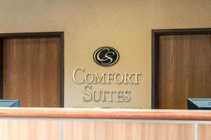 Comfort Suites North Fossil Creek - image 4