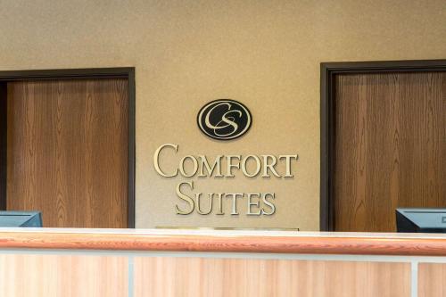 Comfort Suites North Fossil Creek - image 4