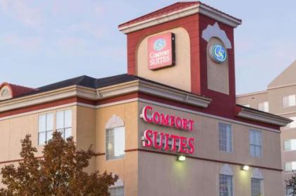 Comfort Suites North Fossil Creek - image 5