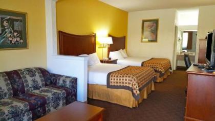 Americas Best Value Inn & Suites Fort Worth South - image 3