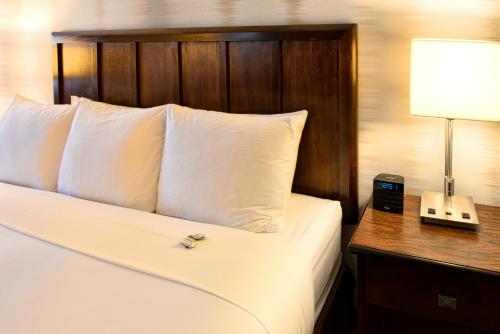Radisson Hotel North Fort Worth Fossil Creek - image 5