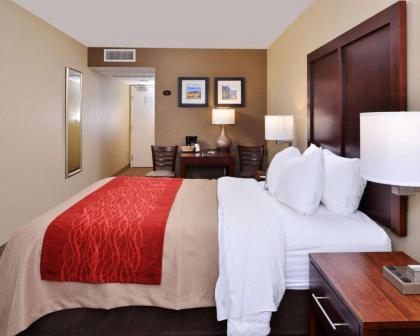 Comfort Inn Fountain Hills - Scottsdale - image 12