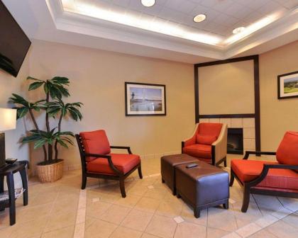 Comfort Inn Fountain Hills - Scottsdale - image 14