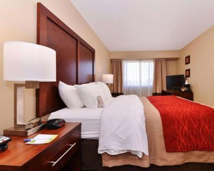 Comfort Inn Fountain Hills - Scottsdale - image 17