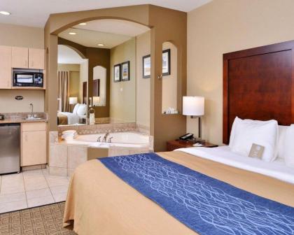 Comfort Inn Fountain Hills - Scottsdale - image 19