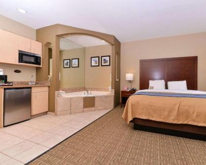 Comfort Inn Fountain Hills - Scottsdale - image 2