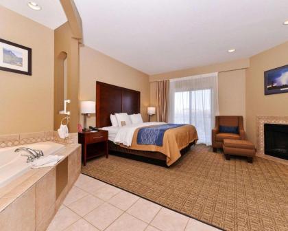 Comfort Inn Fountain Hills - Scottsdale - image 20