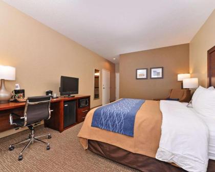 Comfort Inn Fountain Hills - Scottsdale - image 21