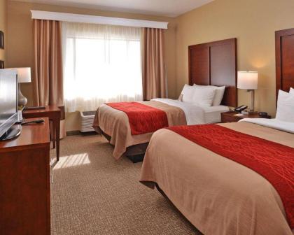 Comfort Inn Fountain Hills - Scottsdale - image 4