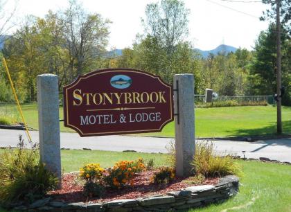Stonybrook Motel & Lodge - image 1