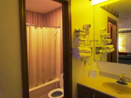 Travel Inn & Suites - image 5