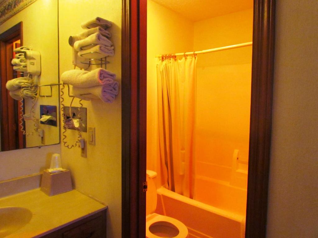 Travel Inn & Suites - image 7