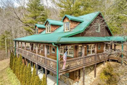 Baloo's Mountain Cabin - image 1