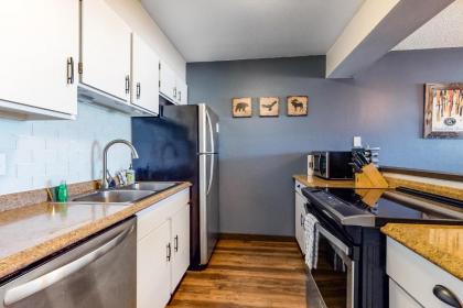 Modern Meadow Ridge Condo - image 7