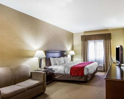Comfort Suites - image 3