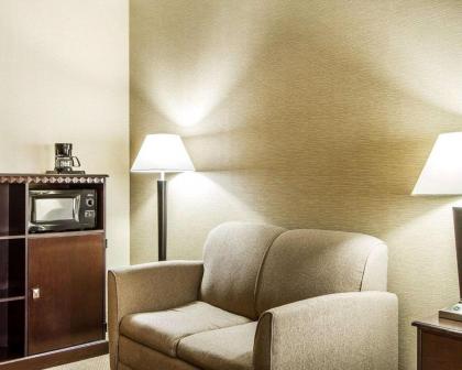 Comfort Suites - image 5