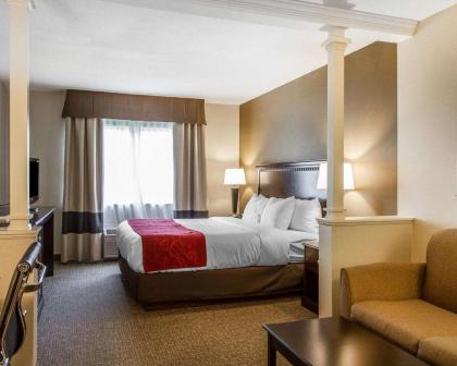 Comfort Suites - image 6