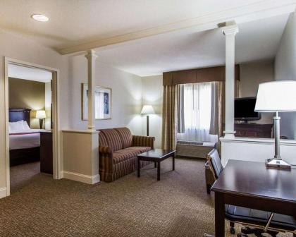 Comfort Suites - image 7