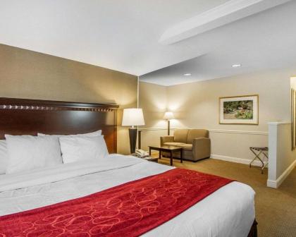 Comfort Suites - image 8