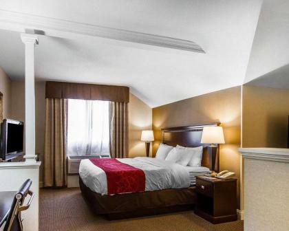 Comfort Suites - image 9