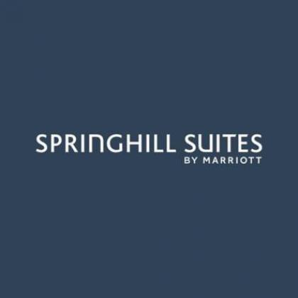 SpringHill Suites by marriott San Jose Fremont